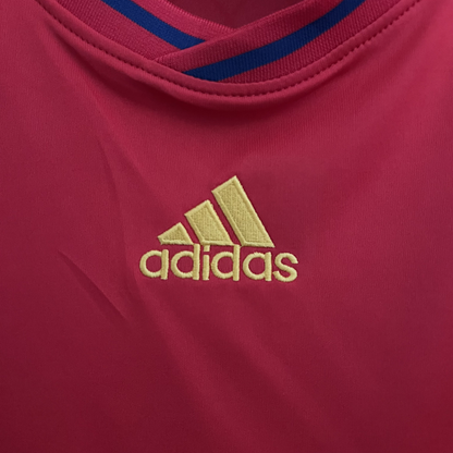 Spain Home Kit 2010