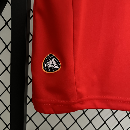 Spain Home Kit 2010