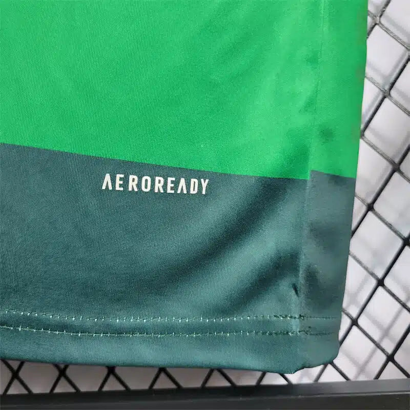 Palmeiras Home Kit 2010/11